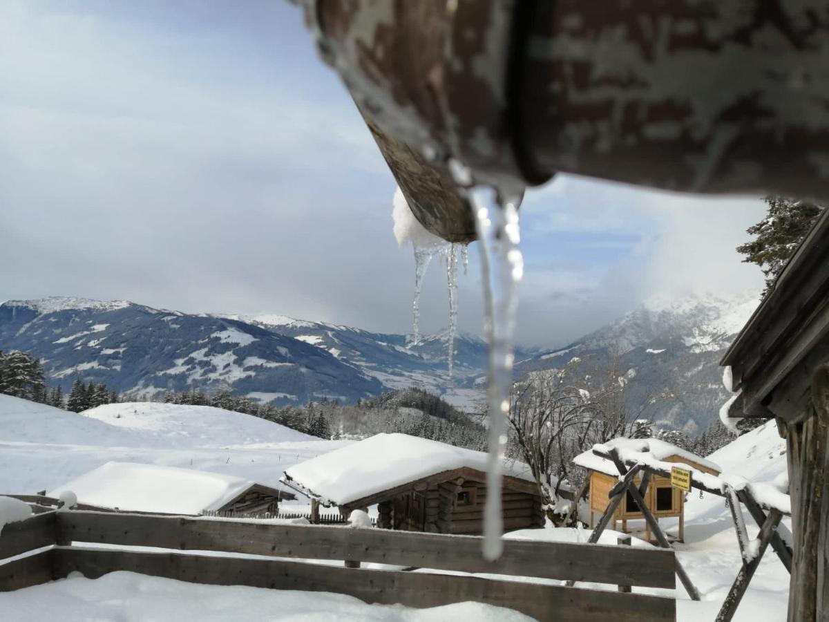 Bergblick Διαμέρισμα Saalfelden Εξωτερικό φωτογραφία